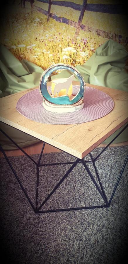 שארנה Apartament Wrzos Bieszczady מראה חיצוני תמונה